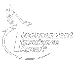 independent insurance agent